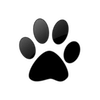 Captcha image 1791